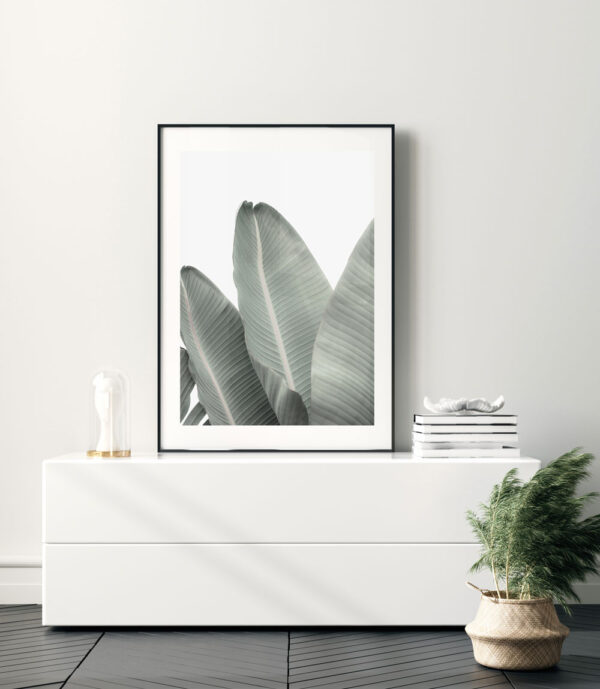 Illustrative and abstract poster design in soft colors