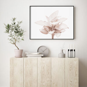 Illustrative and abstract poster design in soft colors